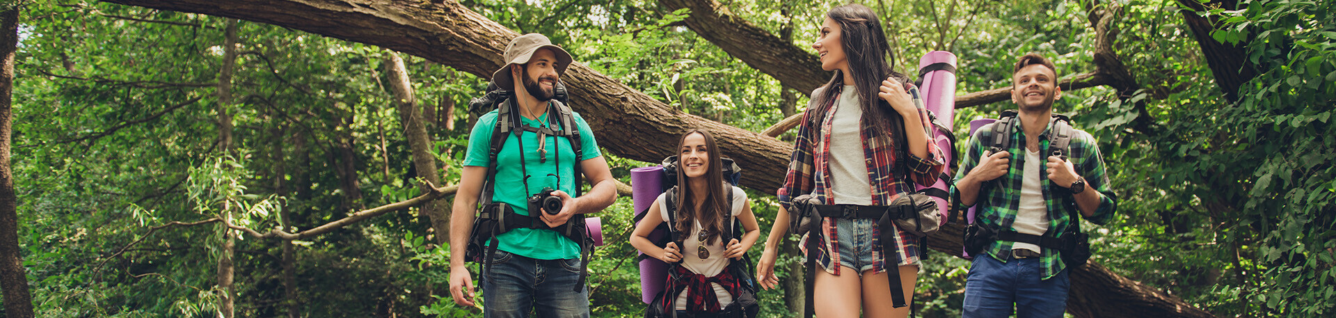 Vier Menschen mit Wanderrucksäcken auf einem Waldweg