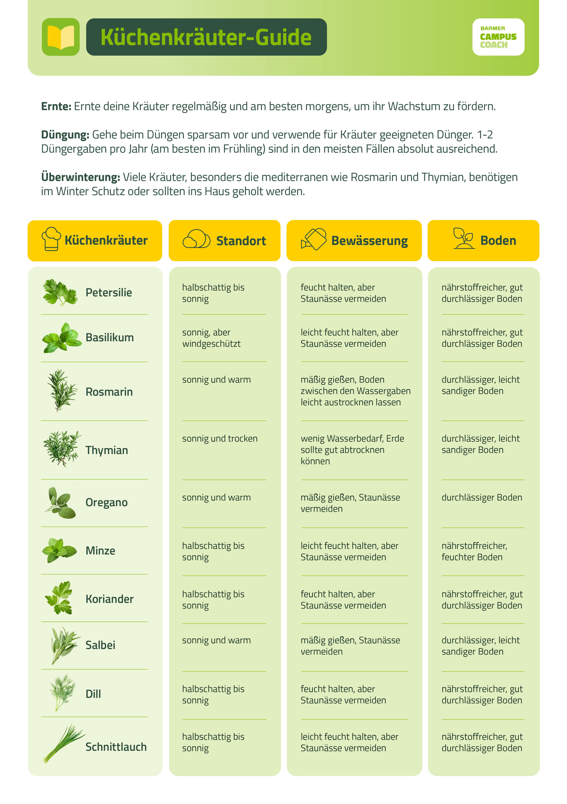 Küchenkräuter Guide