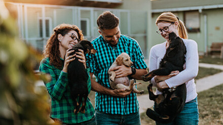 How to: »Be a Hero«?