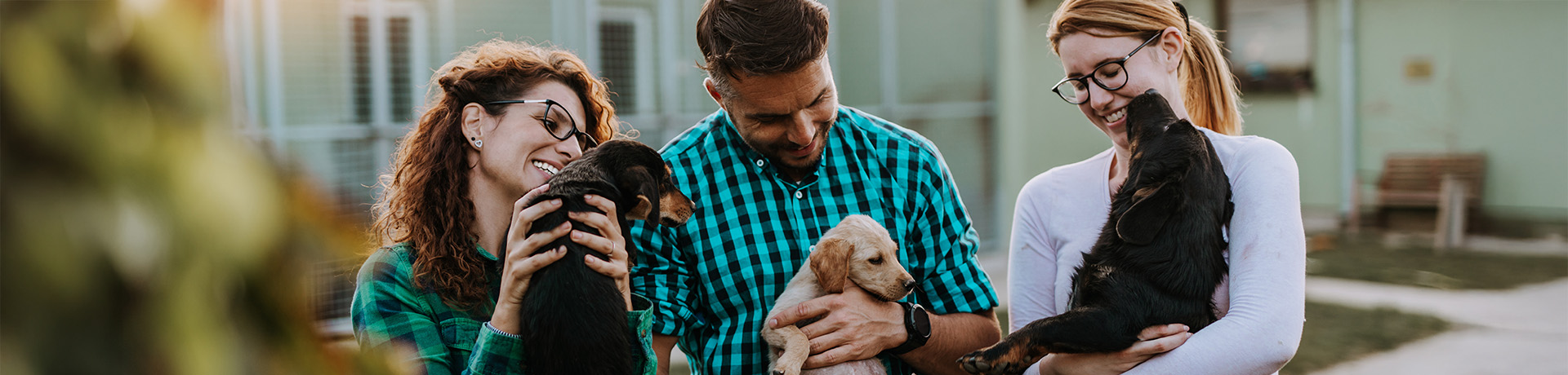 Junge, lachende Menschen mit Hunden auf den Armen