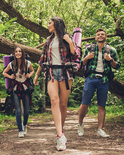 Vier Menschen mit Wanderrucksäcken auf einem Waldweg